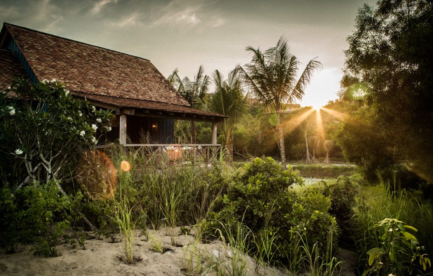 Paddy Field Villa